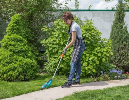 expert comptable jardinier