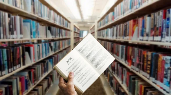 expert-comptable édition