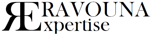 expert-comptable Lyon